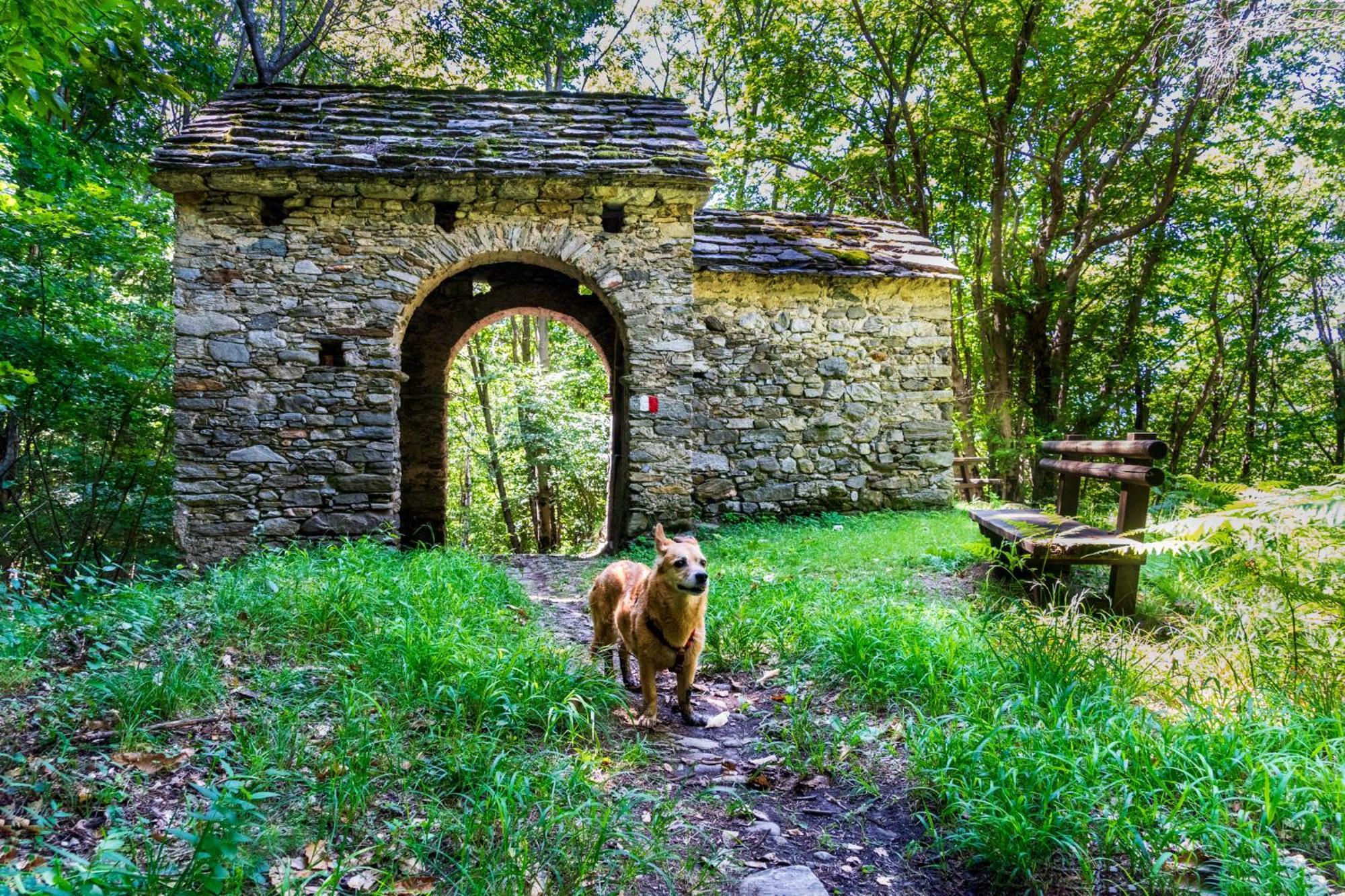 Casa Del Borgo "Aria & Acqua" Sul Lago Maggiore Maccagno Luaran gambar